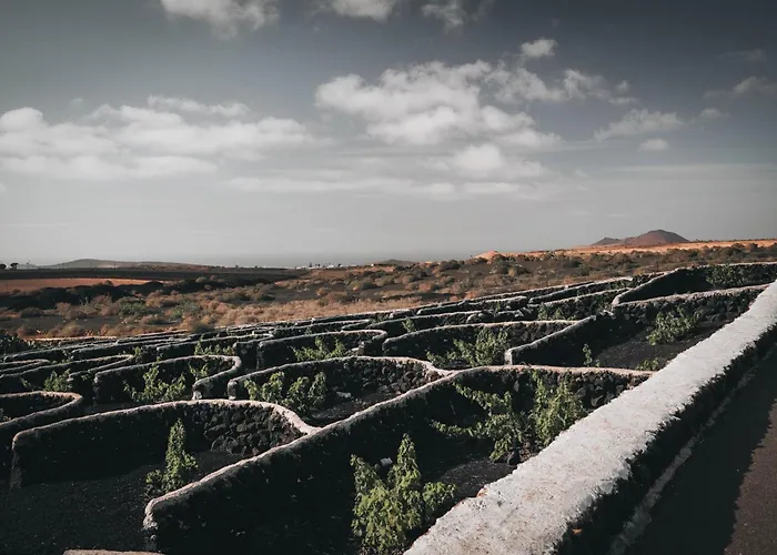 Amonita - Luxurious Space, Private Pool