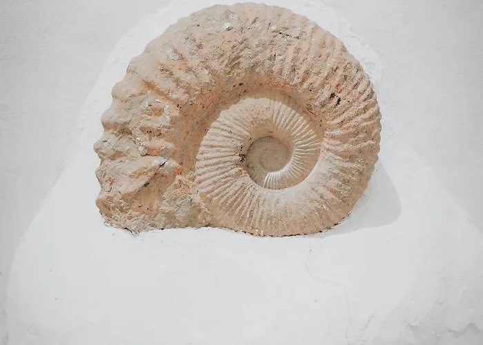 Amonita - Luxurious Space, Private Pool Villa Tiagua